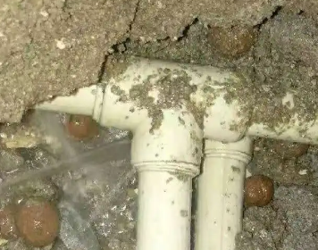 鼓楼测漏水多少钱